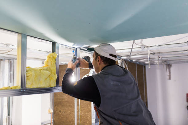 Best Insulation Contractor Near Me  in Marceline, MO
