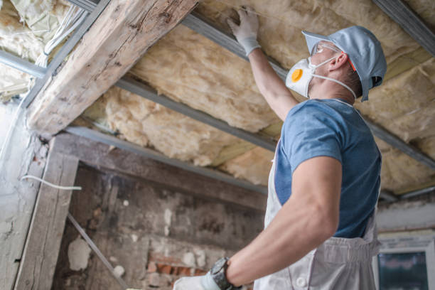 Best Insulation Inspection Services  in Marceline, MO