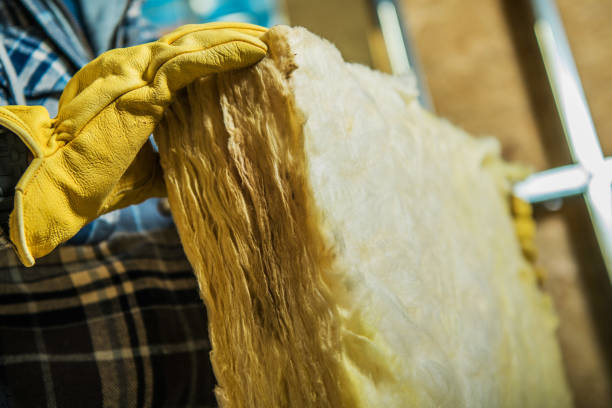 Best Home Insulation Services  in Marceline, MO
