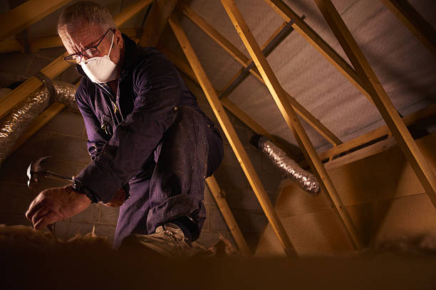 Best Insulation Replacement Services  in Marceline, MO