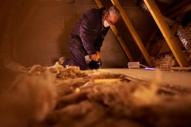 Best Cellulose Insulation  in Marceline, MO